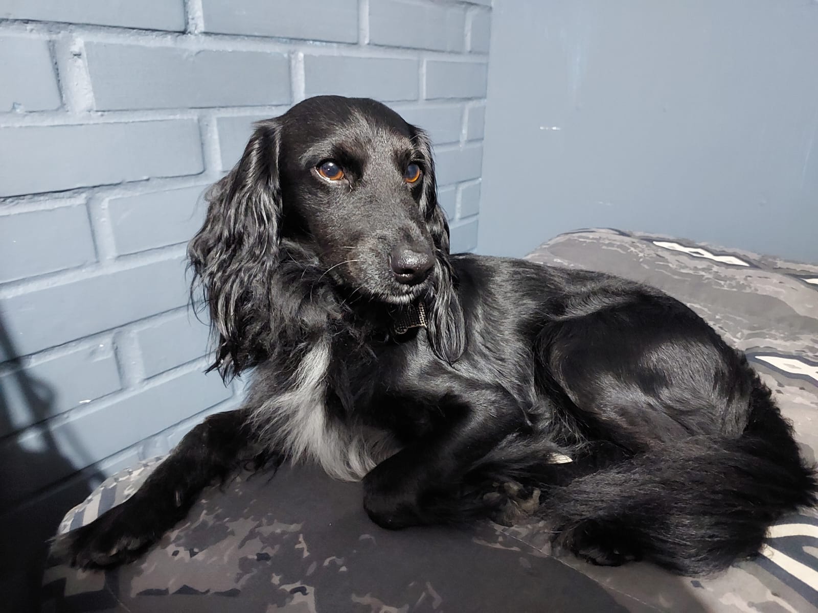 Imagen central destacada